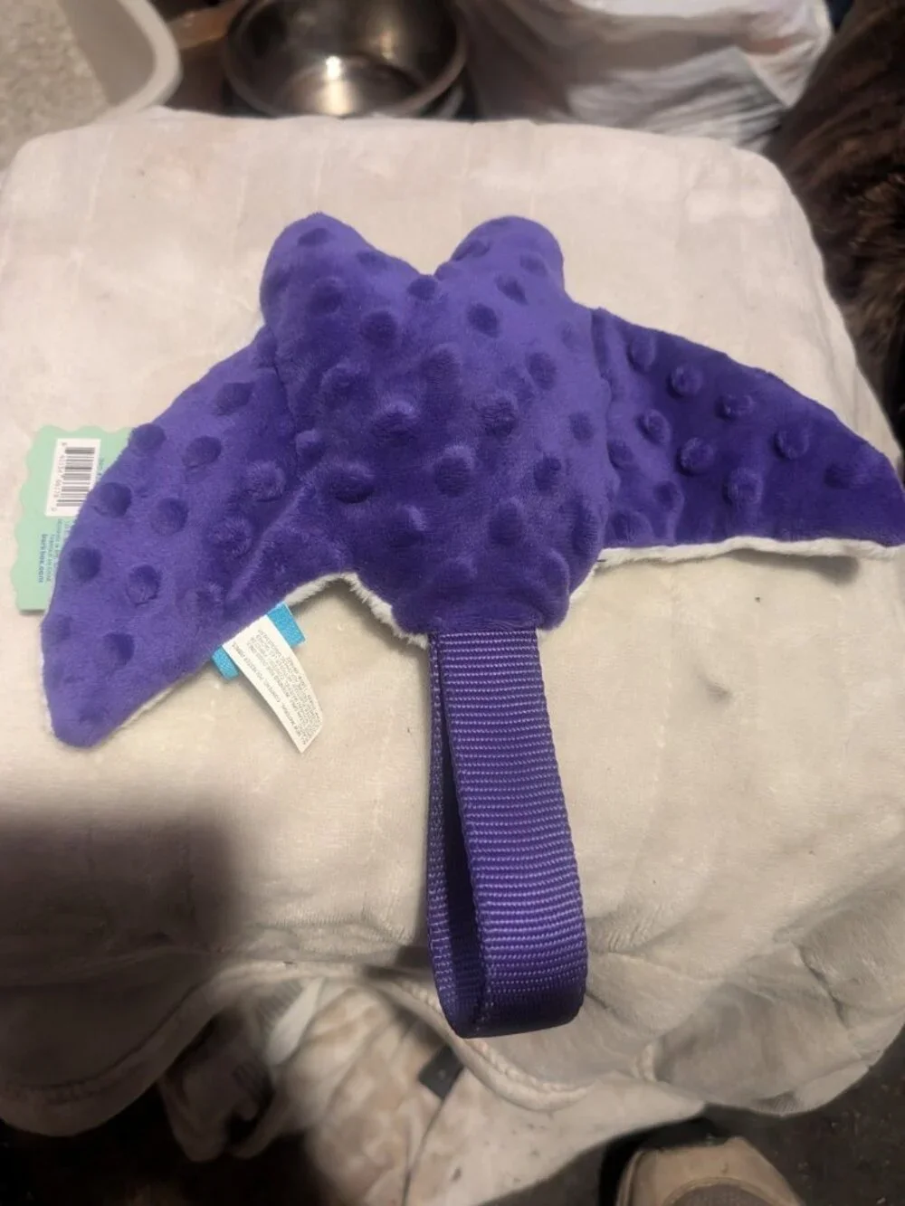Barkbox manny ray